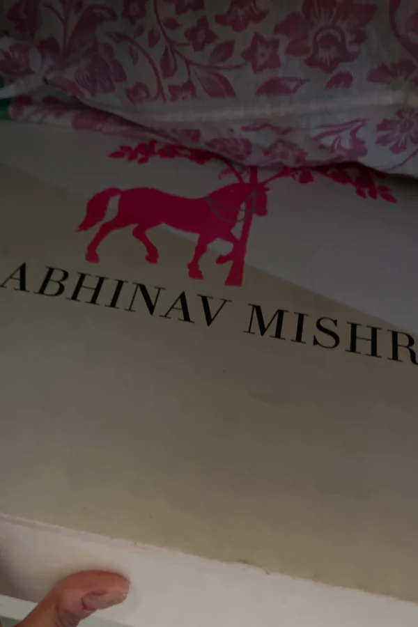 Abhinav Mishra Emebellished Pink Gown - Image 3