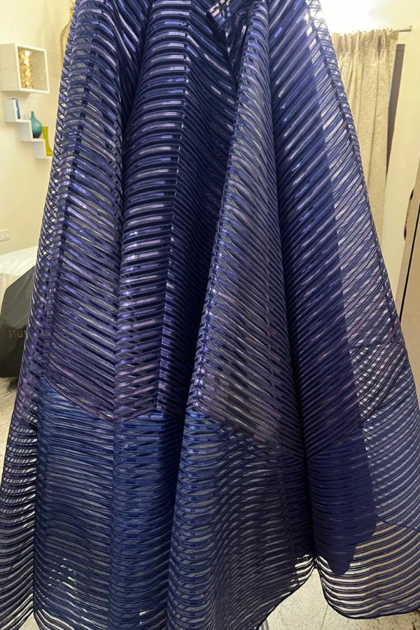 Amit Aggarwal blue striped lehenga - Image 6