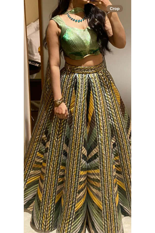 Amit Aggarwal Green Striped Metallic Lehenga Set - Image 2