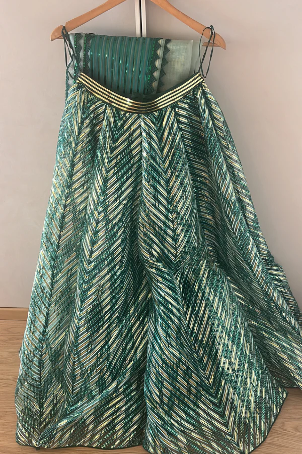 AMIT AGGARWAL Green Striped Structured Lehenga Set - Image 4