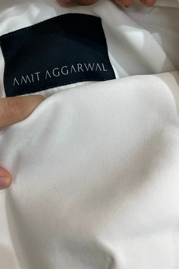Amit Aggarwal metallic winged dress - Image 7