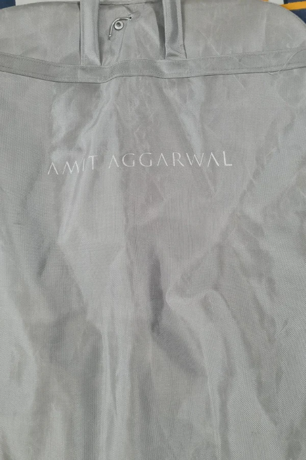 Amit Aggarwal pink winged gown - Image 2