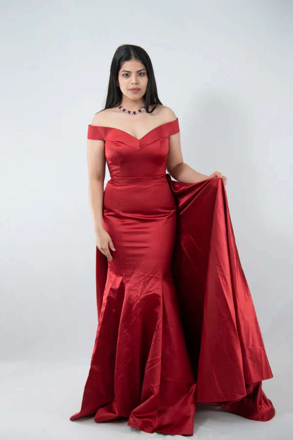 Anamika khanna Gown