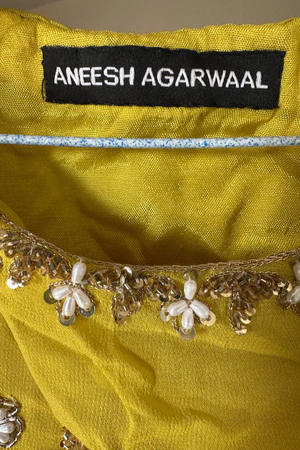 Aneesh Agarwal Pure Georgette yellow gown - Image 4