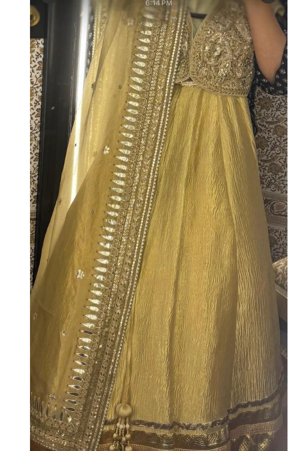 Anita Dongre Lehenga - Image 3