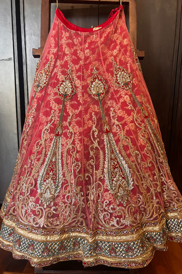 Anjalee & Arjun Kapoor Lehenga - Image 3
