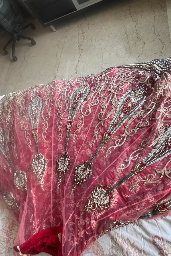 Anjalee & Arjun Kapoor Lehenga - Image 5
