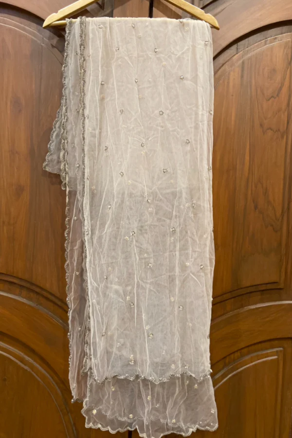 Mrunalini Rao blush ivory lehenga - Image 6