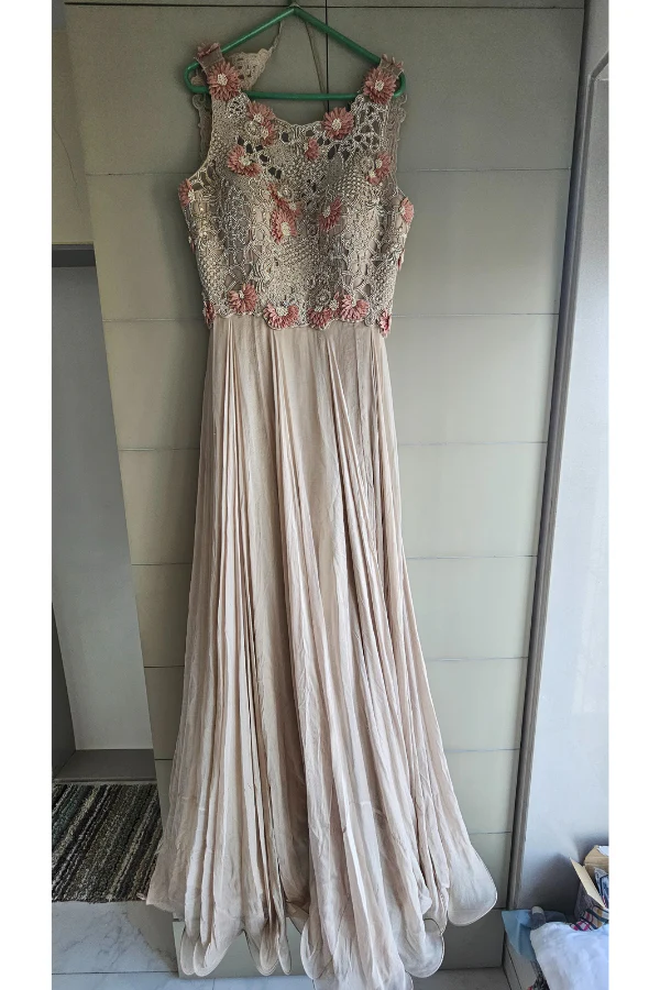 Anushree reddy embroidered gown