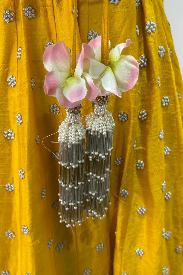 Anushree Reddy Embroidered Lehenga Set - Image 8