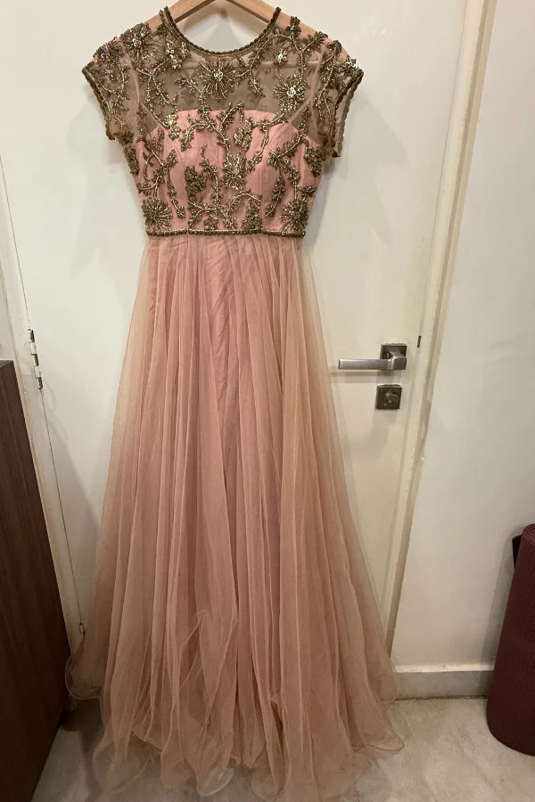 Anushree Reddy Embroidered pink net gown - Image 2