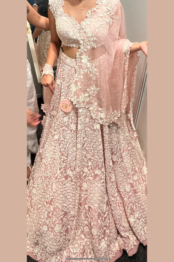 Anushree Reddy Leh Sierra Blush Pink Lehenga Set - Image 2