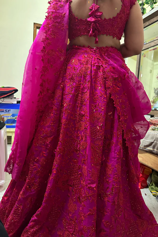 Anushree Reddy Pink embroidered lehenga - Image 3