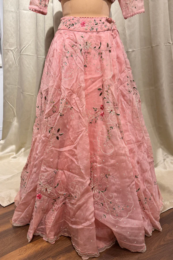 Anushree Reddy pink embroidered lehenga set - Image 3