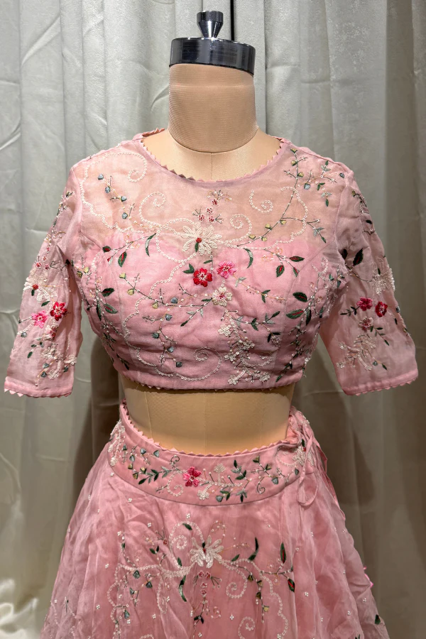 Anushree Reddy pink embroidered lehenga set - Image 5