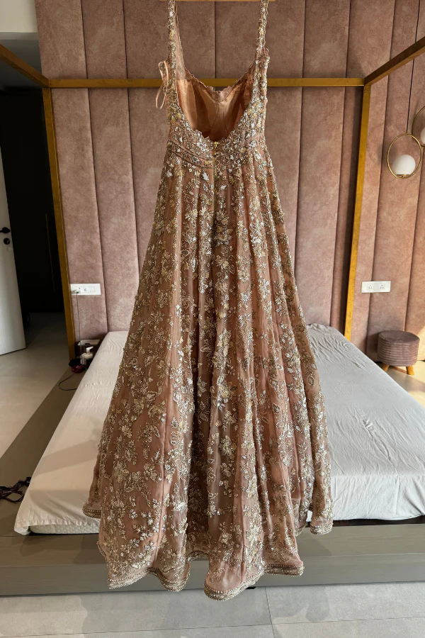ANUSHREE REDDY Pink Organza Embroidered Gown - Image 3