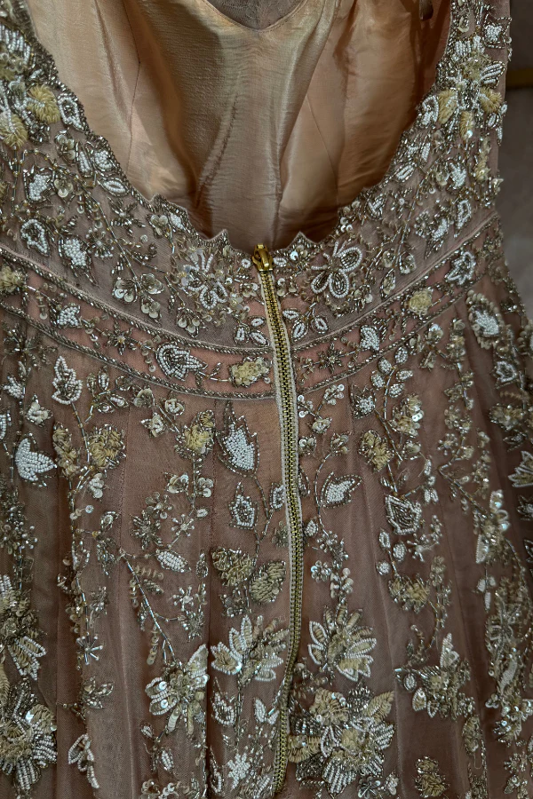 ANUSHREE REDDY Pink Organza Embroidered Gown - Image 4