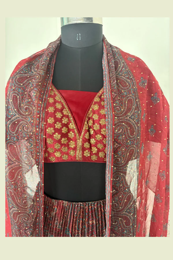 Brown lehenga set - Image 5