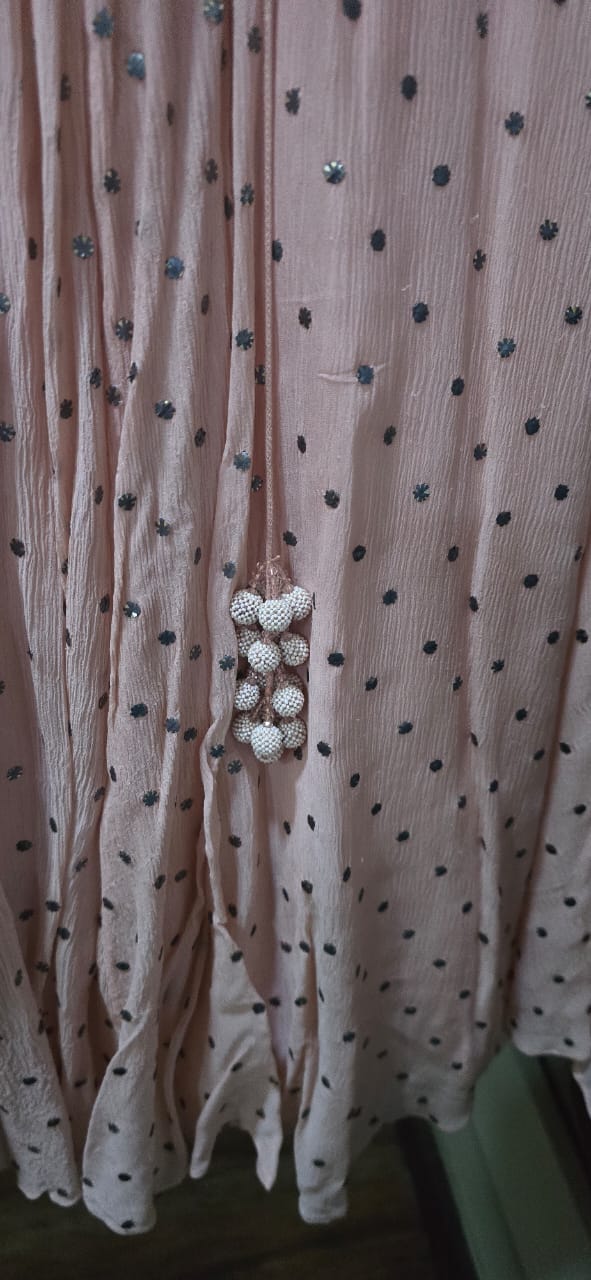 Dolly J Blush Pink Embellished Lehenga Set - Image 6