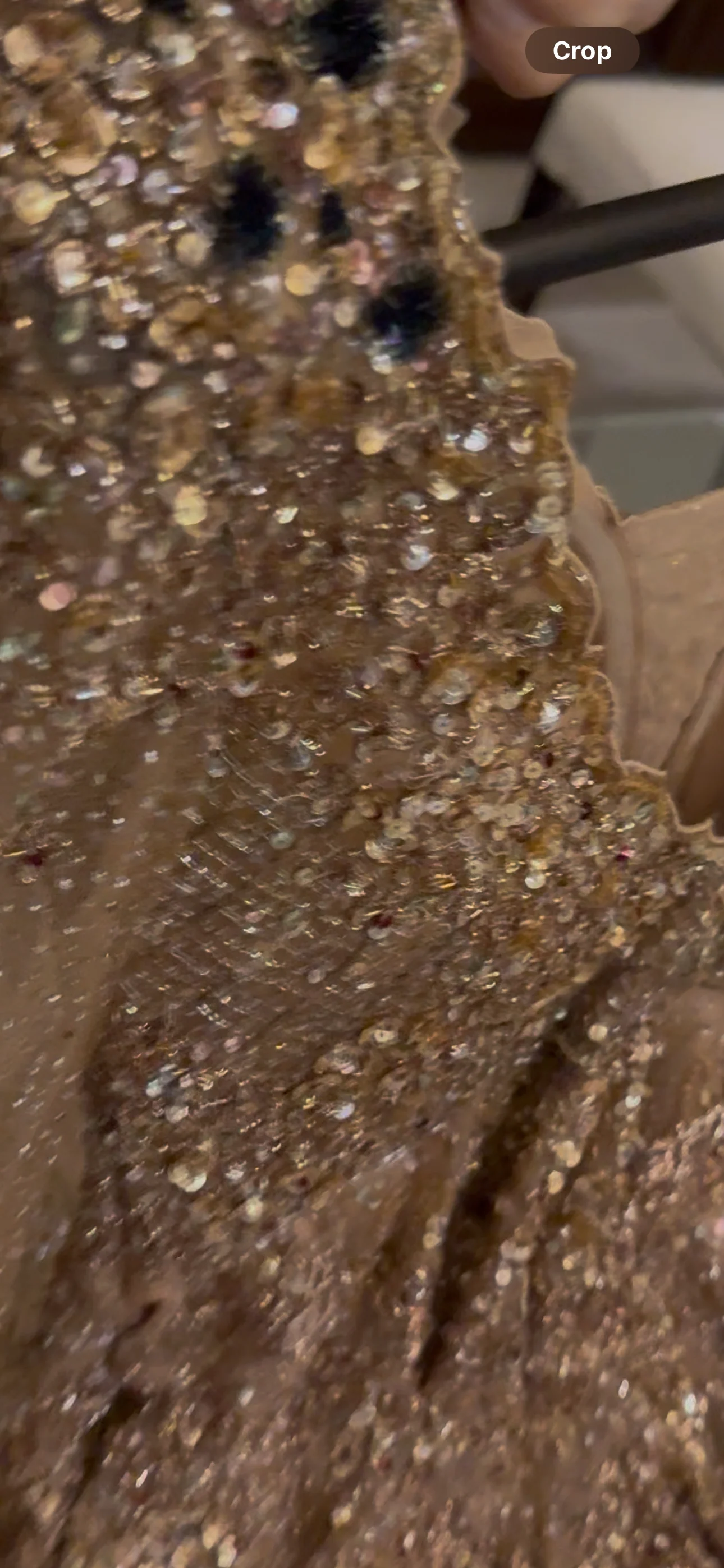 Dolly J Champagne Gold Embellished Gown - Image 4