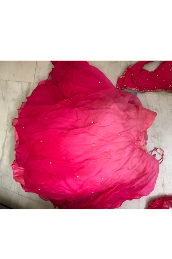 Dolly J Pink Lehenga Set - Image 3
