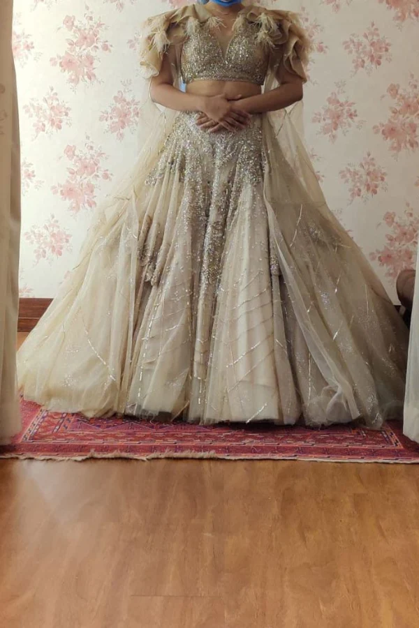 dolly J Shimmer Tulle Gold Lehenga Set - Image 6