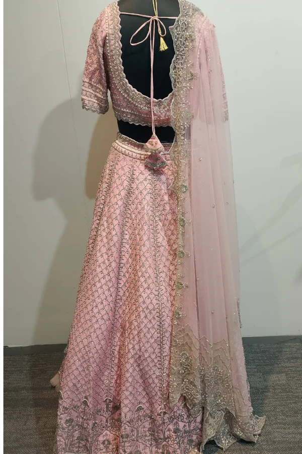 Dreamy Pink Embellished lehenga set - Image 6