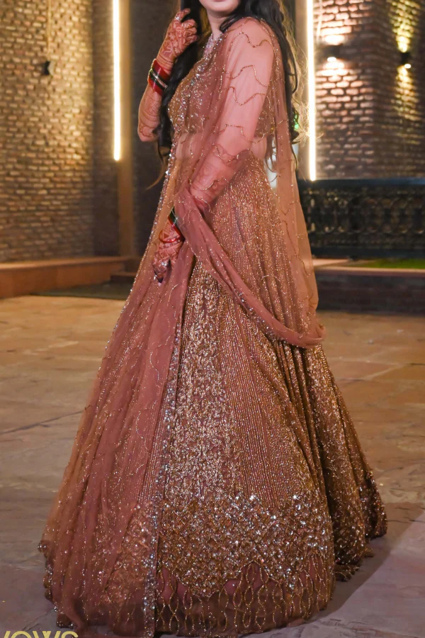 Embellished lehenga