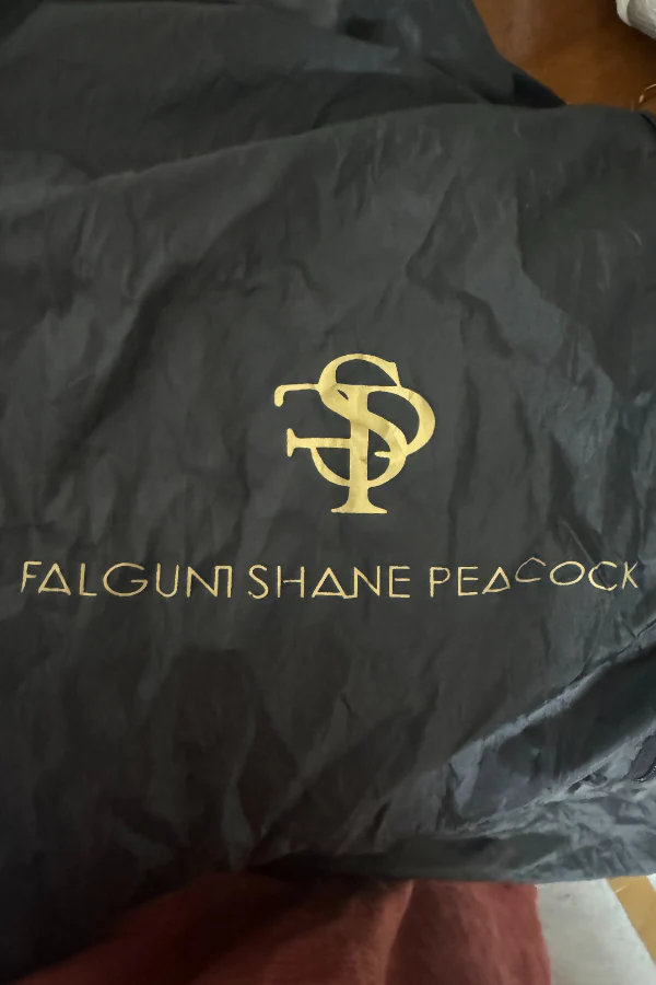 Falguni Shane Peacock emebllished saree gown - Image 4