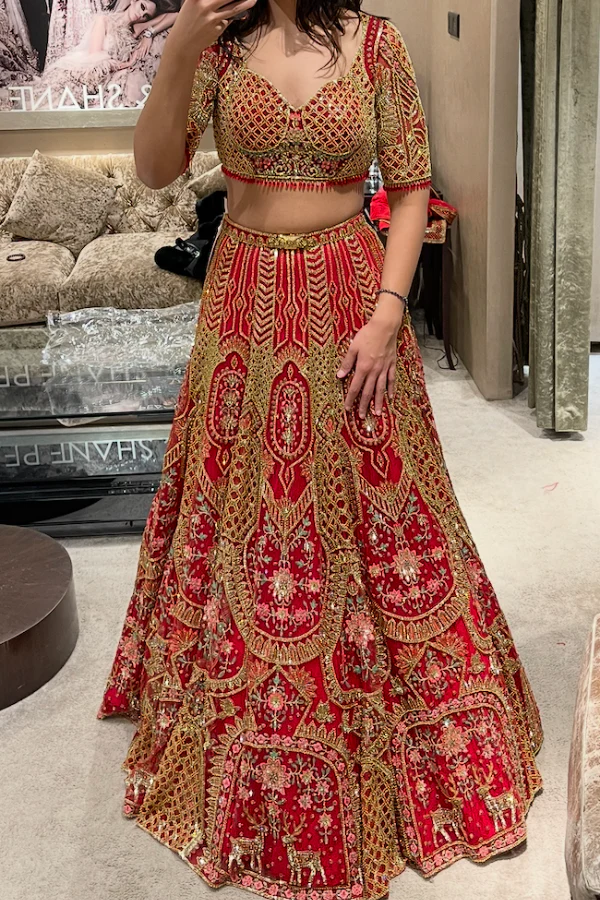 Falguni Shane Peacock Sylvie Red Lehenga Set - Image 2