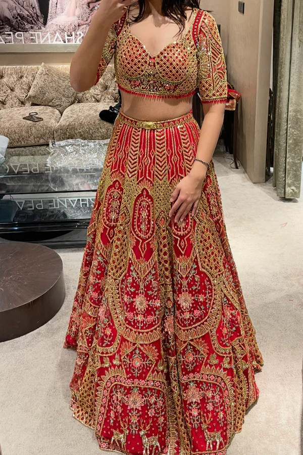 Falguni Shane Peacock Sylvie Red Lehenga Set - Image 3