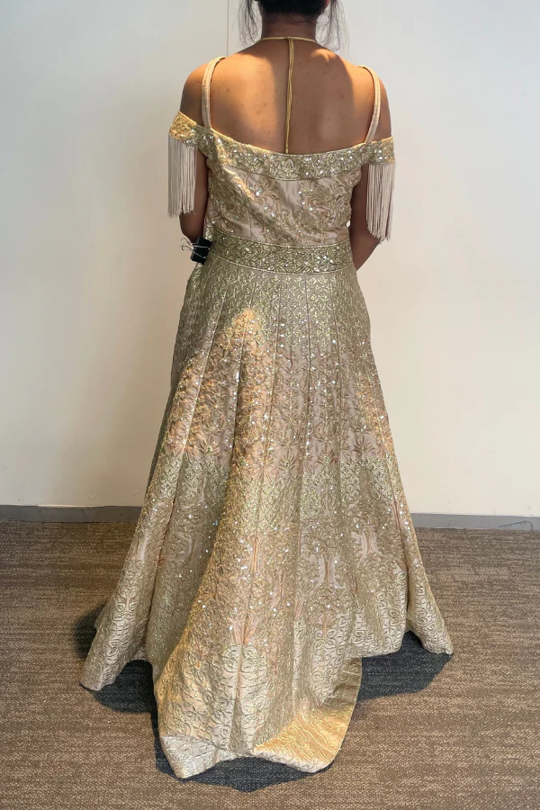 Gold embroidered Gown - Image 9