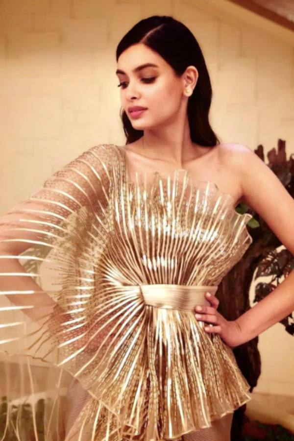 Gold metallic indo western gown - Image 4