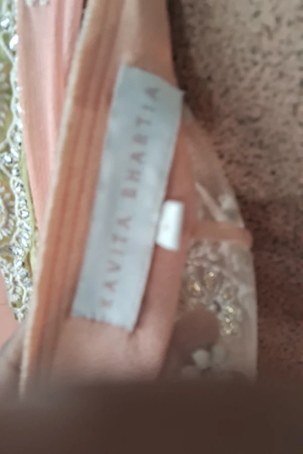 Kavita Bhartia Draped Saree Set - Image 6