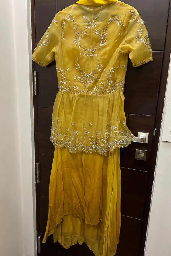 Kavita  Bhartia Dress - Image 2