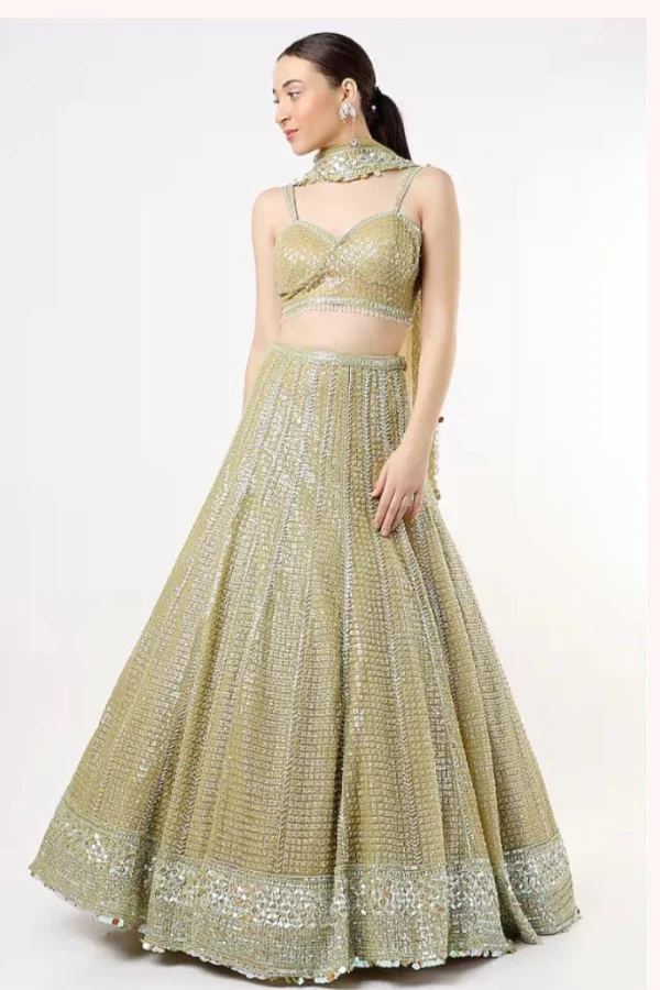 Lime Net Embroidered lehenga set