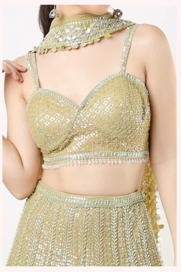 Lime Net Embroidered lehenga set - Image 2