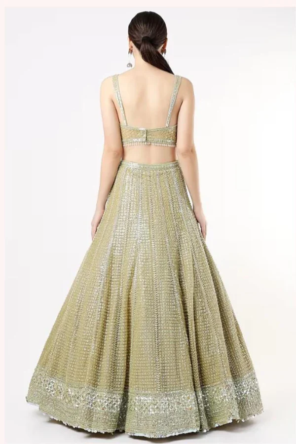 Lime Net Embroidered lehenga set - Image 3