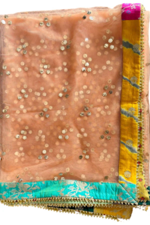 Liz Paul Multi color lehenga - Image 6
