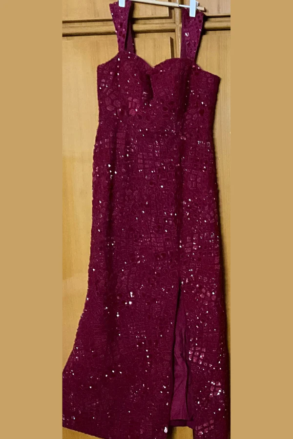 Mishru Red Embellished Dress - Image 3
