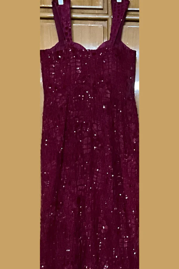 Mishru Red Embellished Dress - Image 4