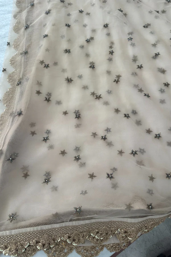 Mrunalini Rao embroidered lehenga set - Image 4