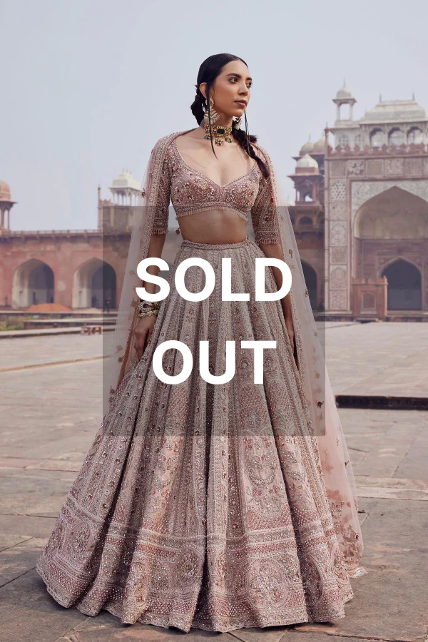 Payal Keyal Embroidered lehenga