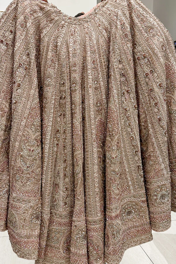 Payal Keyal Embroidered lehenga - Image 3