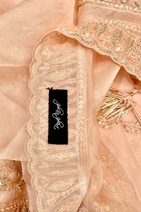 Payal Keyal Embroidered lehenga - Image 4