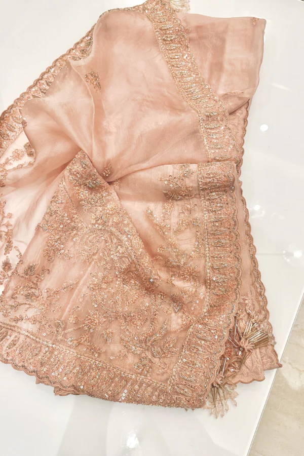Payal Keyal Embroidered lehenga - Image 5