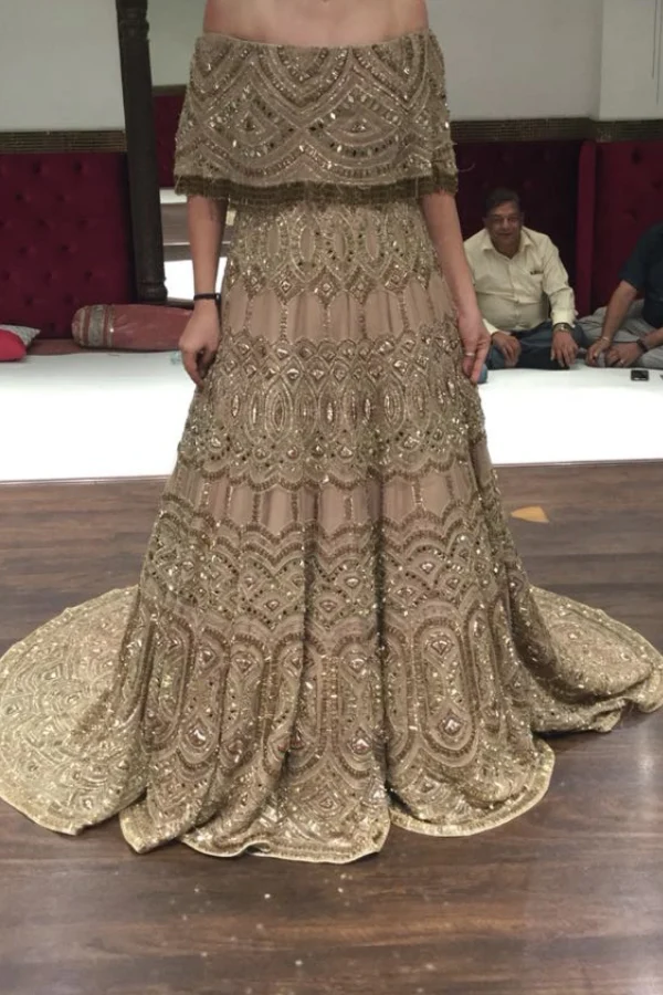 Payal Keyal gold trail gown