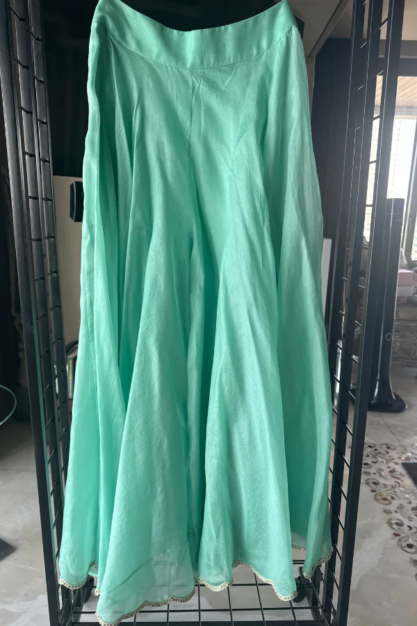 petticoat lane Mint Green Organza Sharara Set - Image 4