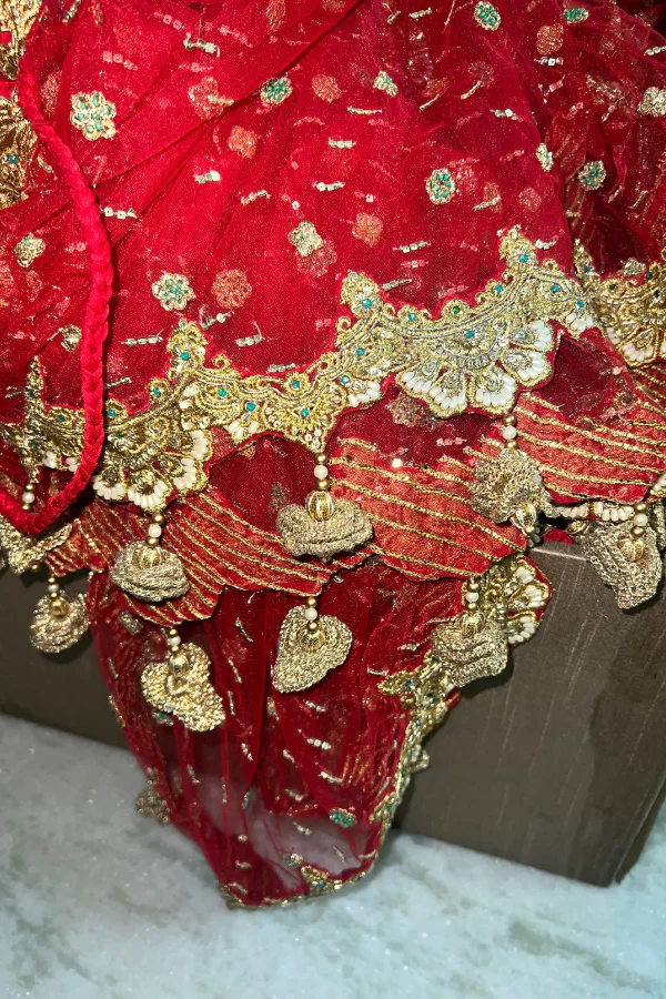 Rimple & harpreet red embroidered lehenga - Image 5