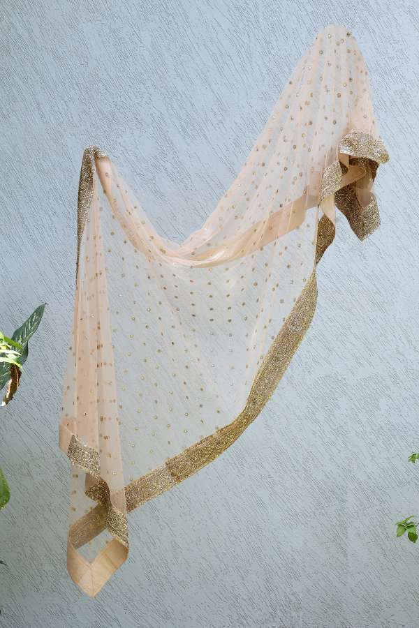 Sabyasachi beige embroidered lehenga set - Image 8